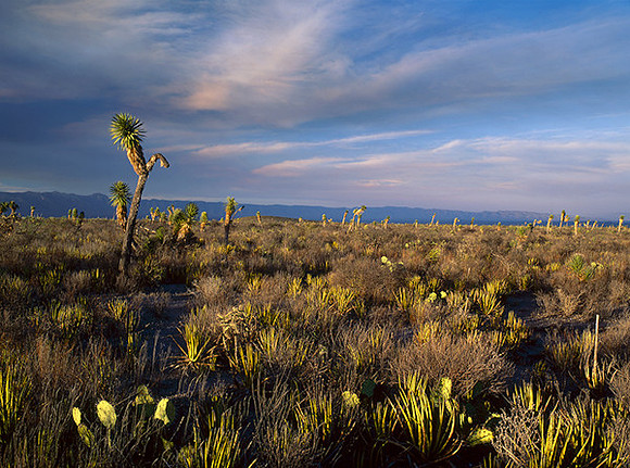 4000_20080719_ADS_Mexican_Landscape_Mexico_P100