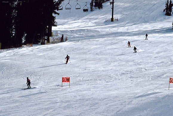 47943_B17_SL_COLOR_MAMOTA_YOSEMITE_CA_97_13.jpg