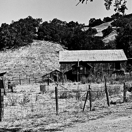 6036_FM_BW_PASO_ROBLES_CA_05_9.jpg