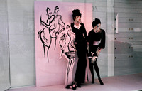 2539_SL_BOX_I_COLOR_AUSTRIA_1