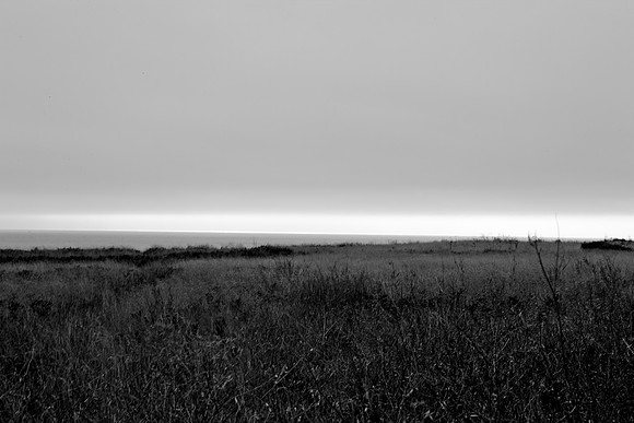5L8Y0534