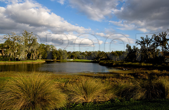 36203_DG_Color_USA_Osceola_County_Celebration_Town_FLZV4N7850