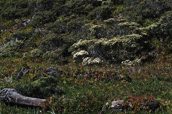 47937_B17_SL_COLOR_17M_DRIVE CARMEL_CA_97_04.jpg