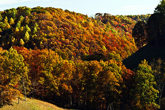 0258_FM_COLOR_MINESOTA_99_65.jpg