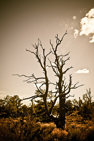 0020_Wyonming_To_Ketchem_Sun_Valley_ID_5L8Y7824