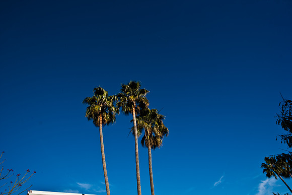 36411_DG_CALIFORNIA_USA_2007_ZV4N_0813