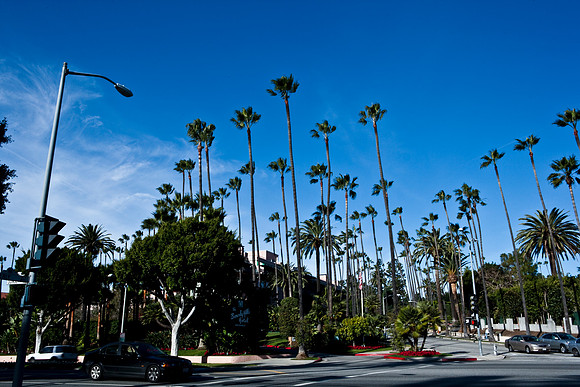 36493_DG_CALIFORNIA_USA_2007_ZV4N_0434