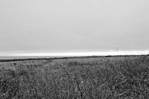 5L8Y0566