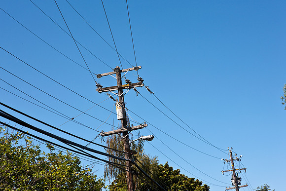 0024_DG_Corta_Madera_CA_USA_20095L8Y0265