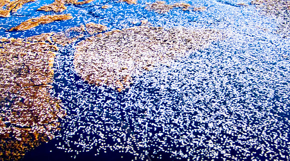 2533_Lincoln_Road_Cinema_Miami_Beach_20090308_MG_1965