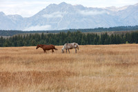 0020_Wyonming_To_Ketchem_Sun_Valley_ID_5L8Y7389