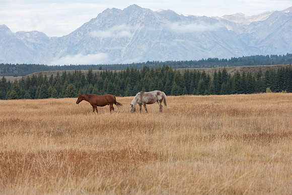 0020_Wyonming_To_Ketchem_Sun_Valley_ID_5L8Y7389