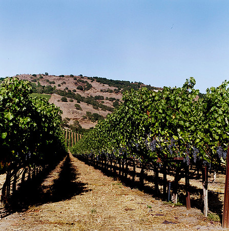 6038_FILM_COLOR_LR_05_USA_CA_8.jpg