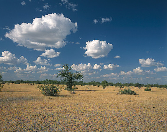 4000_20080719_ADS_Mexican_Landscape_Mexico_052