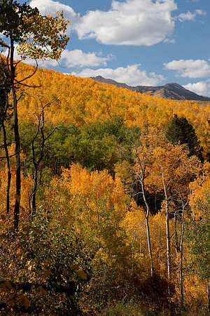 20080829_DVD15_DG_USA_Aspen_2081_full_blead