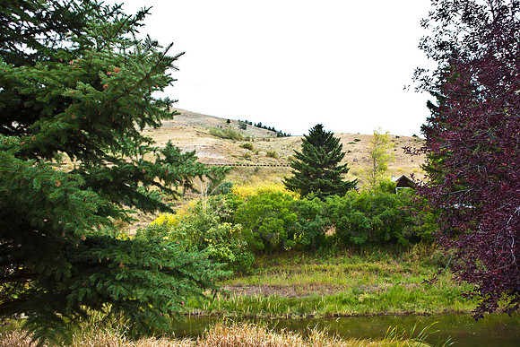 0019_Aspen_To_Jackson_Hole_Wyoming_5L8Y7098