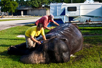 42588_Circus_Miami__Park__IMG_6389