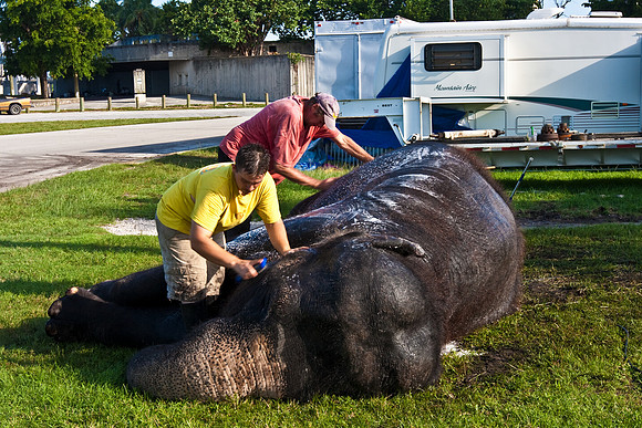 42588_Circus_Miami__Park__IMG_6389