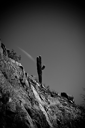 0031_La_Arizona_5L8Y5474