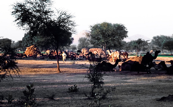 47300_SL_COLOR_INDIA_1987_4