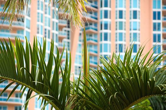 36153_DG_Color_USA_South_Beach_FL_Related_GroupDSC_0055