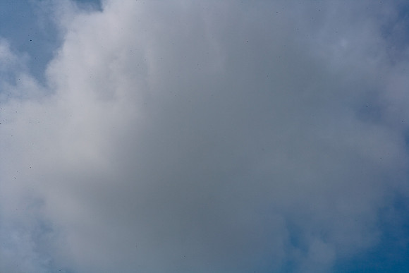 85503_ZV4N0680