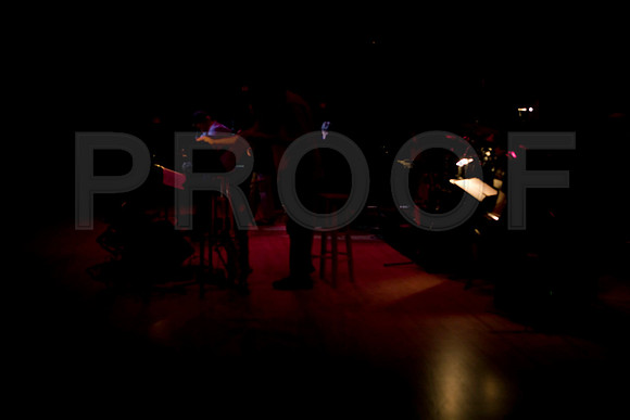 Jazz_Roots_Bosanova_12_12_2008_ZV4N0360