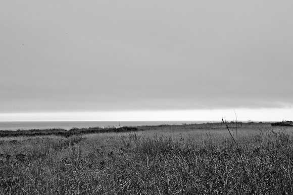 5L8Y0570