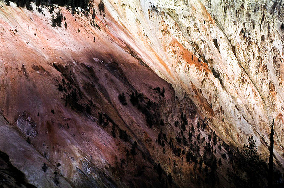 47636_B11_SL_COLOR_YELLOWSTONE_WY_97_02.jpg