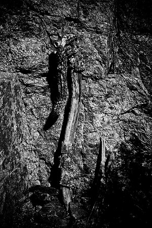 0031_La_Arizona_5L8Y5514