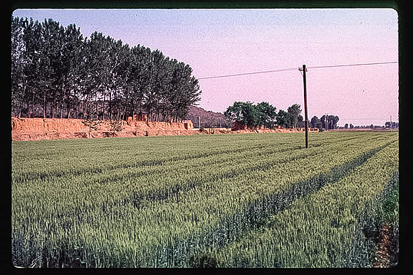 China_043