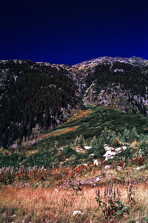 06811_B19_SL_COLOR_WHISTLER_WS_97_18.jpg