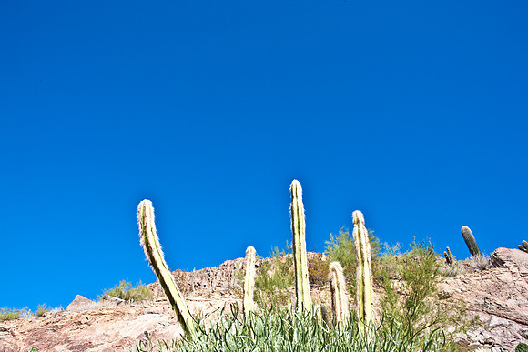 0031_La_Arizona_5L8Y5215