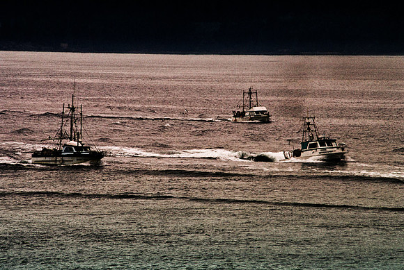 2547_SL_BOX_I_COLOR_OVKA_VICTORIA_CANADA_18