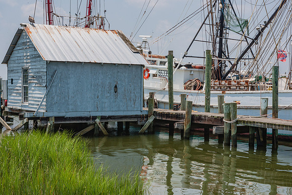 20060702_South_Carolina_ZV4N298