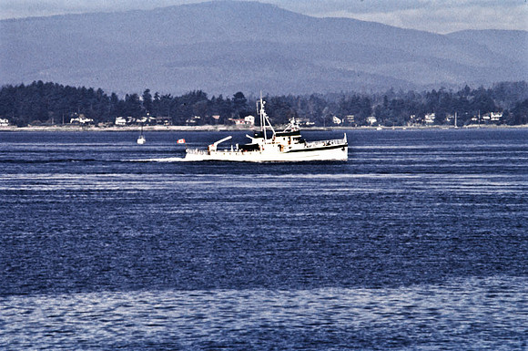 2545_SL_BOX_I_COLOR_OVKA_VICTORIA_CANADA_11
