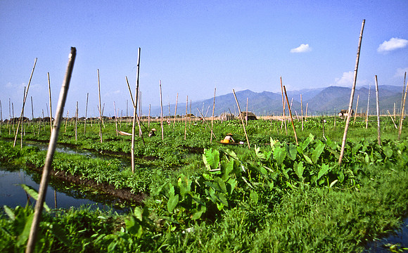3524_SL_COLOR_AROUND_THE_WORLD_IN_8_MONTHS_APRIL_2000_7