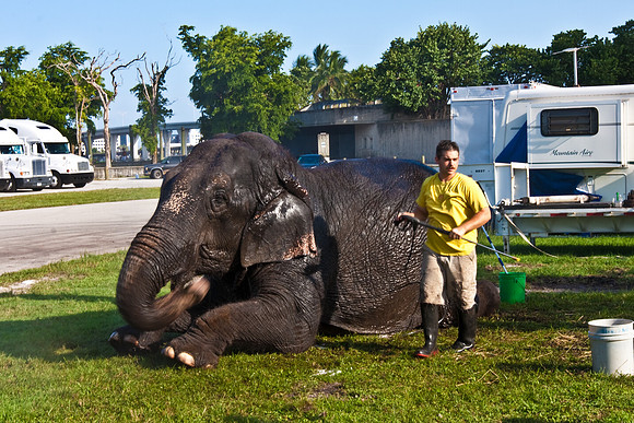 42586_Miami_Brickell_Circus_FL_20080816_IMG_3868