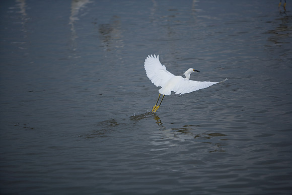 85545_ZV4N_7159_Miami_To_Sanibel_Island_FL