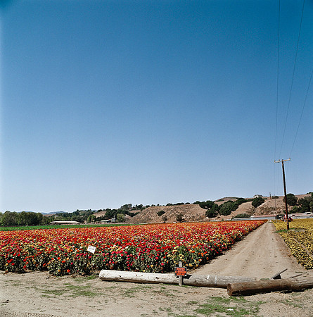 6032_COLOR_SQ_PACIFIC_HWY_AND_SLOVANG_CA_USA_05_5.jpg