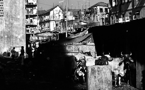 47262_SL_COLOR_INDIA_1987