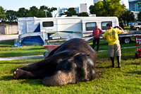 42588_Circus_Miami__Park__IMG_6370