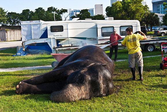 42588_Circus_Miami__Park__IMG_6370