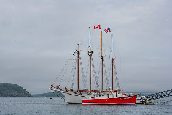 20060627_Maine_ZV4N1018