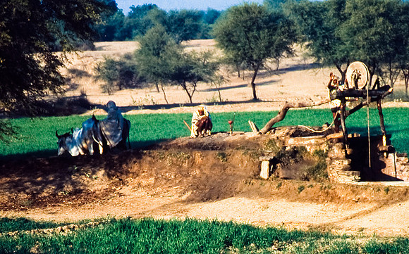 47300_SL_COLOR_INDIA_1987_9