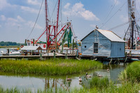 20060702_South_Carolina_ZV4N295