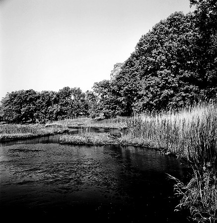 7816_A_BW_SQ_Mistic_STONINGTON_CT_04_1.jpg