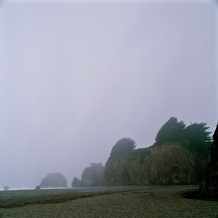 6043_COLOR_SQ_MANDACINO_HEADLANDS_SP_CALFORNIA_05_1.jpg