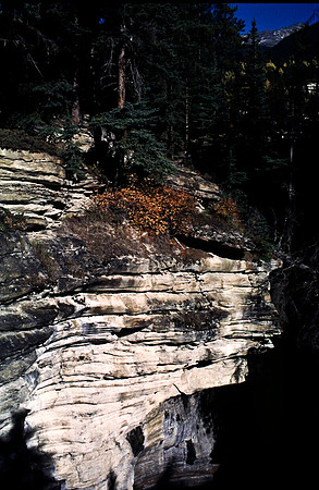 06828_B19_SL_COLOR_JASPER_NAT_PARK_ATHABASCA_FALLS_BC_WS_97_08.jpg