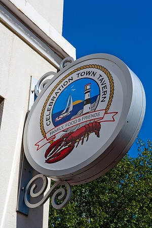 36201_DG_Color_USA_Osceola_County_Celebration_Town_FLZV4N7282-2